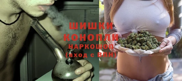 бошки Белокуриха