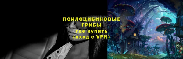 бошки Белокуриха
