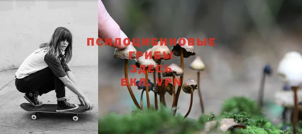 дмт Богданович
