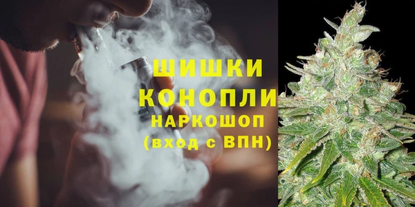 бошки Белокуриха