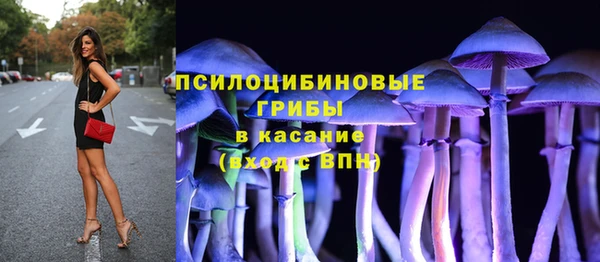дмт Богданович