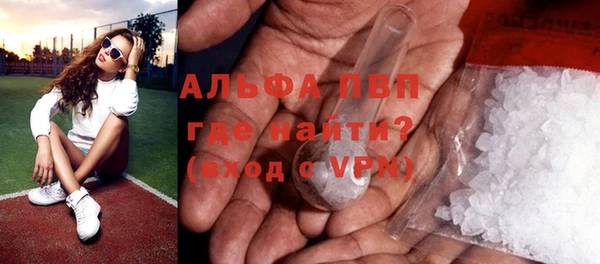 дмт Богданович