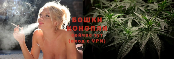 бошки Белокуриха