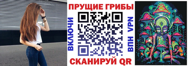 Псилоцибиновые грибы прущие грибы Павловск