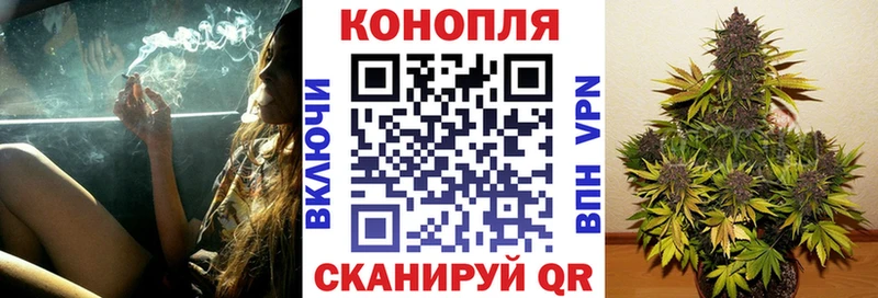 Марихуана планчик купить наркотик Павловск